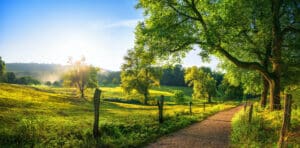 Rural landscape with a path, trees and meadows on hills, blue sky and pleasant warm sunshine from the low sun